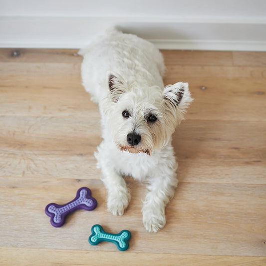 Puppy Teether Dog Toy