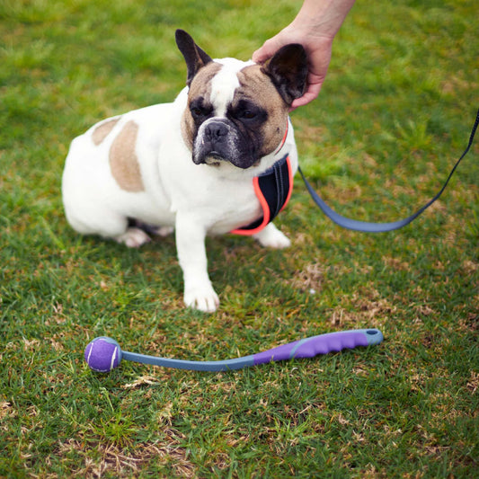 Kazoo Eco-Friendly Ball Thrower