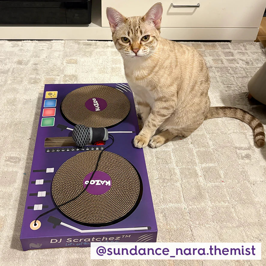 DJ Scratchez Cardboard Cat Scratcher