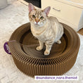 Load image into Gallery viewer, Kitty Accordion Cardboard Bed With Ball
