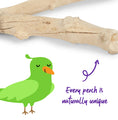 Load image into Gallery viewer, Kazoo - Natural Branch Perch
