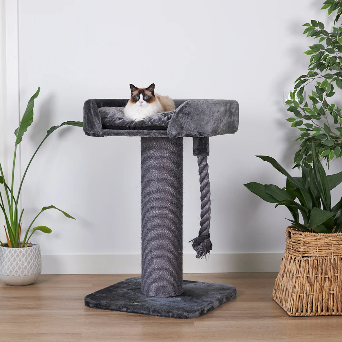 High Bed Cat Scratch Post - Charcoal Plush