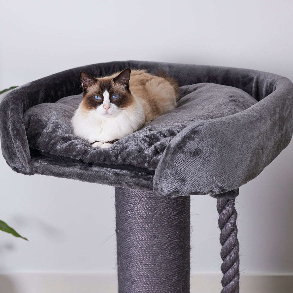 high-bed-cat-scratch-post - gallery_2