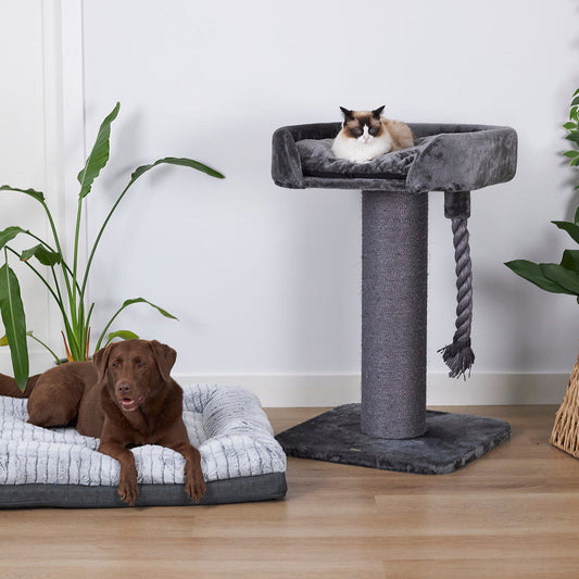 high-bed-cat-scratch-post - gallery_0