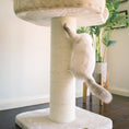 Load image into Gallery viewer, high-bed-cat-scratch-post - gallery_12
