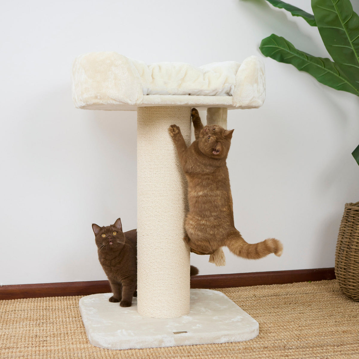 high-bed-cat-scratch-post - gallery_6