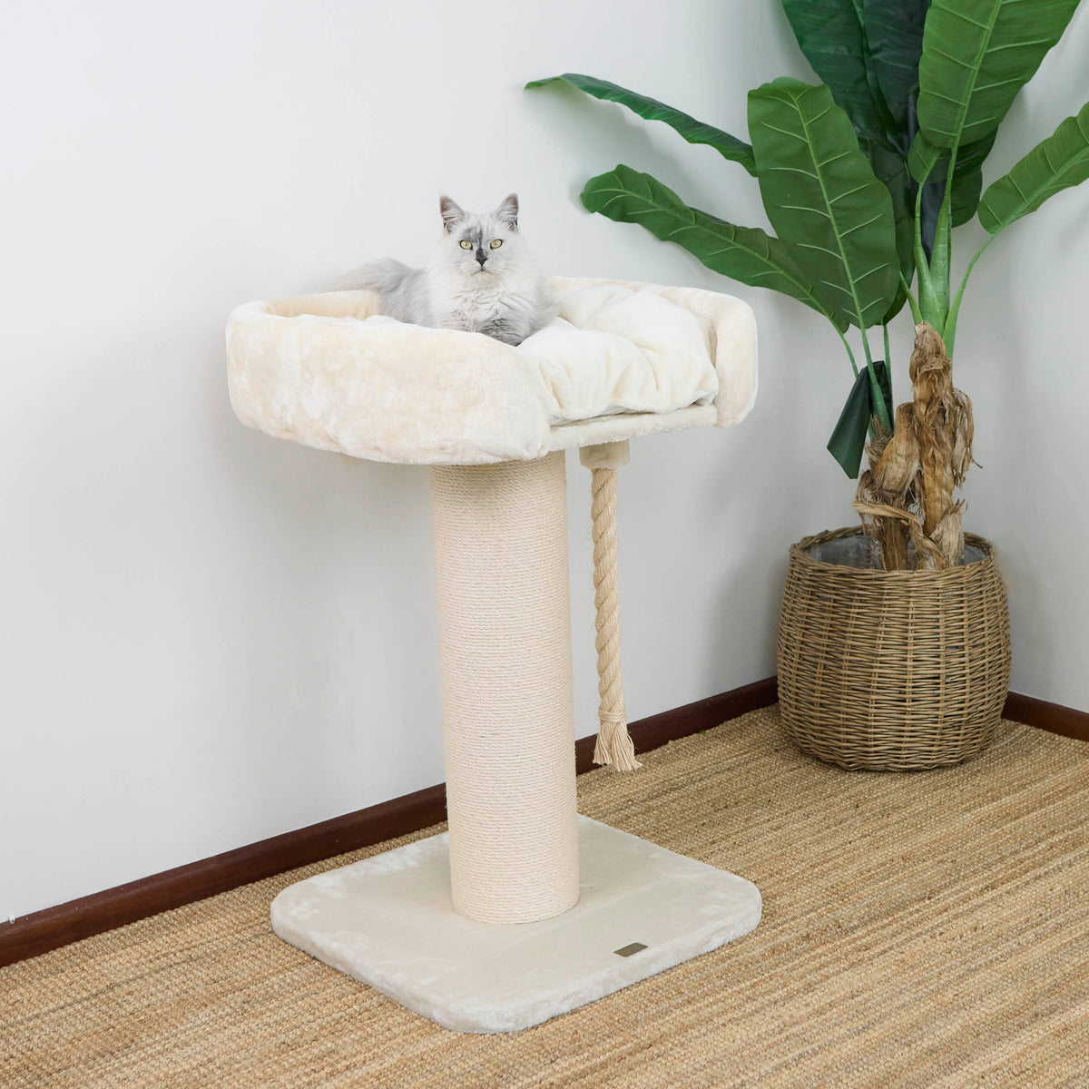 high-bed-cat-scratch-post - gallery_5