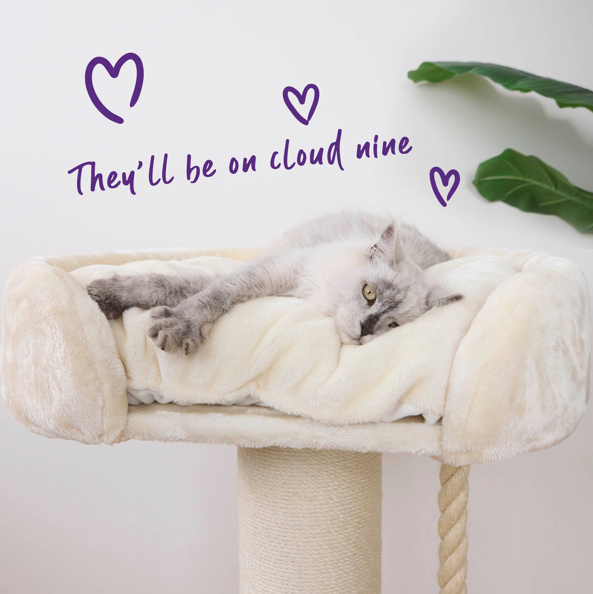 high-bed-cat-scratch-post - gallery_7