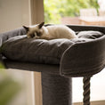 Load image into Gallery viewer, high-bed-cat-scratch-post - gallery_18

