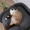Load image into Gallery viewer, high-bed-cat-scratch-post - gallery_15
