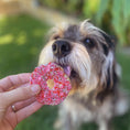 Load image into Gallery viewer, Barney's Barkery - Dog Donut Biscuit
