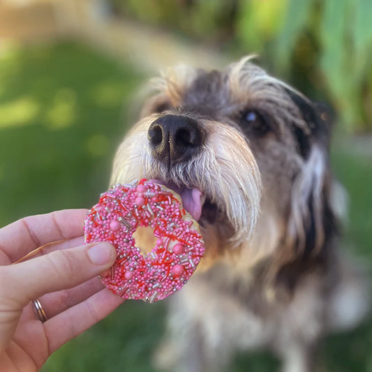 Barney's Barkery - Dog Donut Biscuit