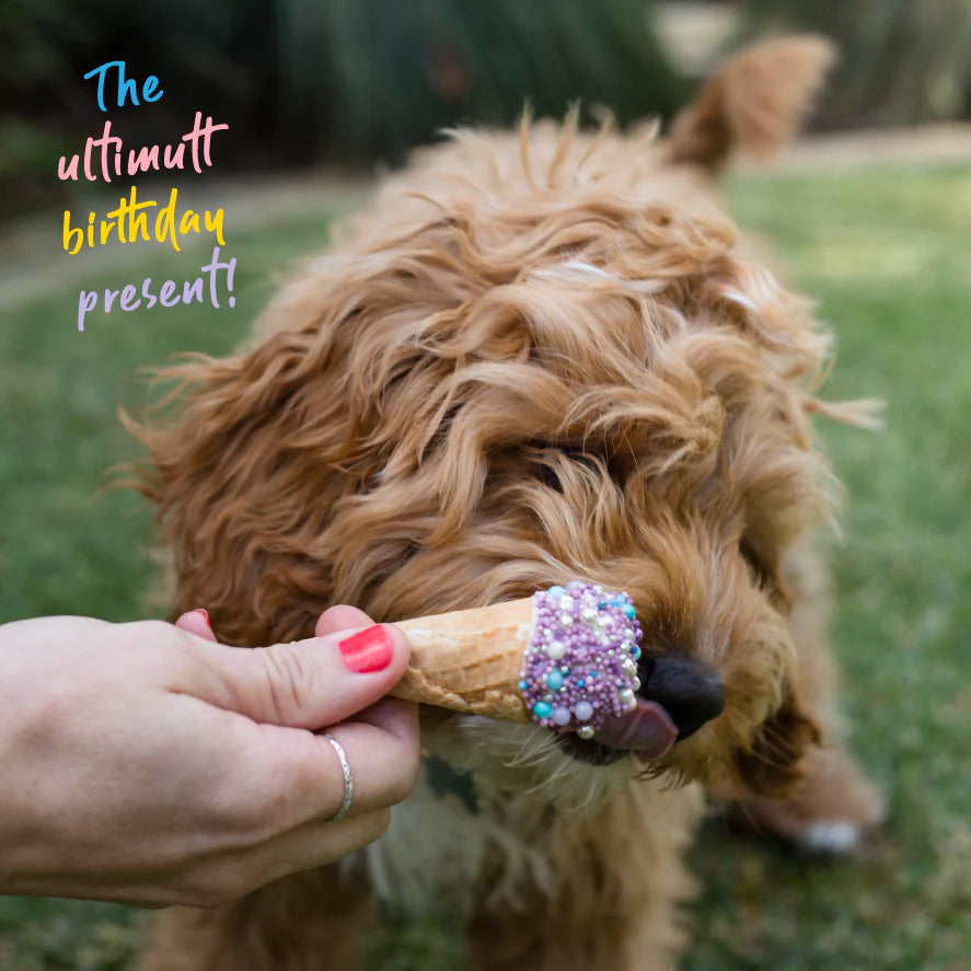 Barney's Barkery - Dog Ice Cream Cone