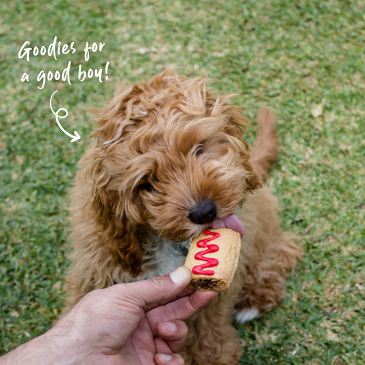 Barney's Barkery - Dog Pawty Sausage Roll