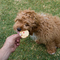 Load image into Gallery viewer, Barney's Barkery - Dog Pawty Meat Pie
