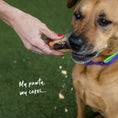 Load image into Gallery viewer, Barney's Barkery - Dog Pawty Hot Dog
