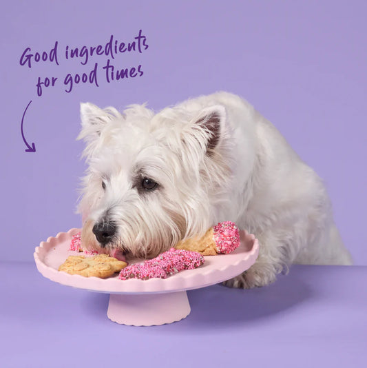 Barney's Barkery - Meaty Marvel - Chicken Pawprint