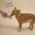 Load image into Gallery viewer, Barney's Barkery - Meaty Marvel - Chicken Nutri-Bone
