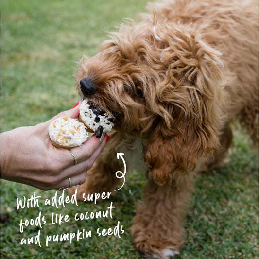 Barney's Barkery - Meaty Cupcakes - Duo