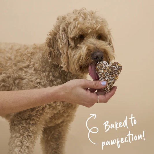 Barney's Barkery - Meat Lovers Dog Cookie - Chicken