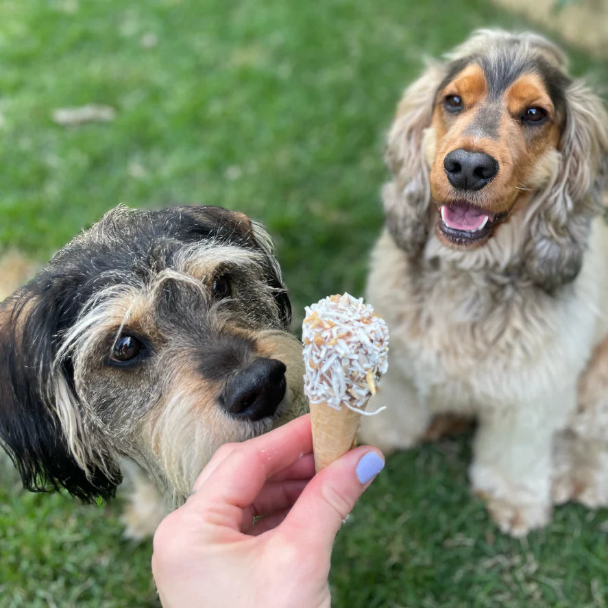 Barney's Barkery - Protein Cone - Chicken