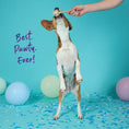 Load image into Gallery viewer, Barney's Barkery - Meaty Pop
