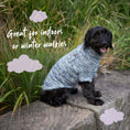 Load image into Gallery viewer, Hazy Grey Roll Neck Dog Jumper
