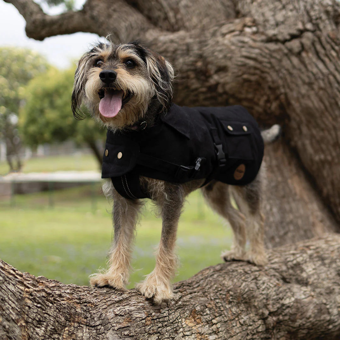 Aussie Oilskin Coat Black