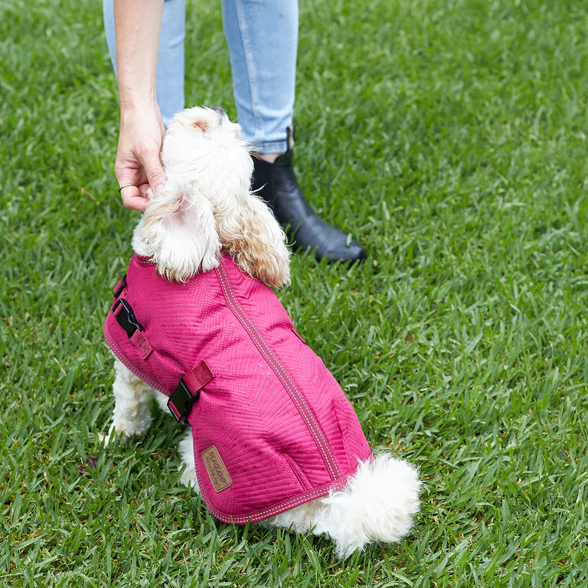 Adventure Dog Coat - Cherry