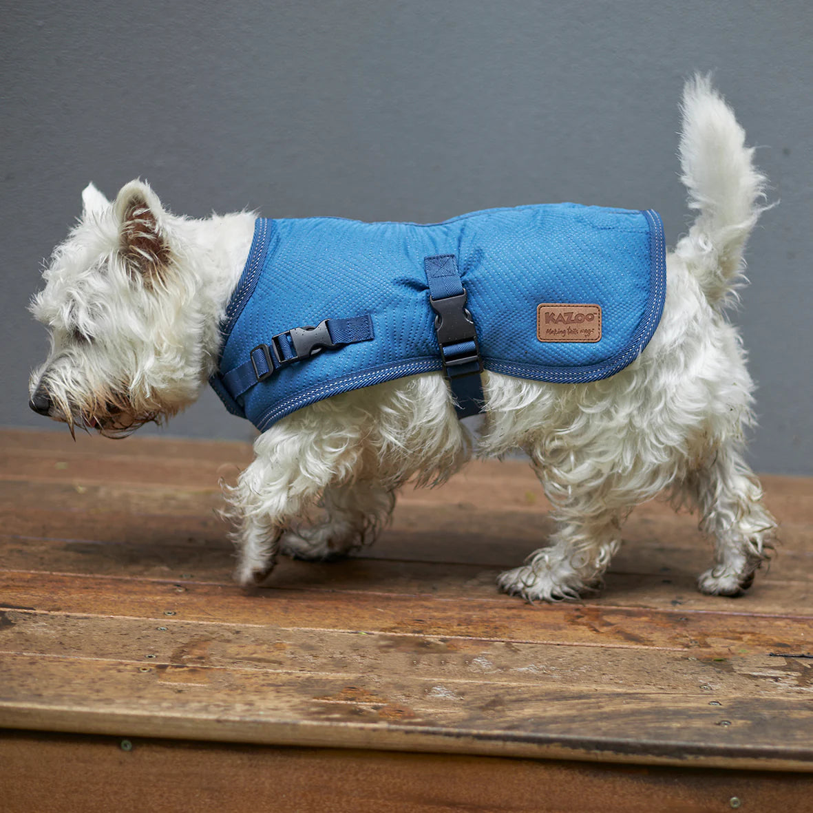 Adventure Dog Coat - River