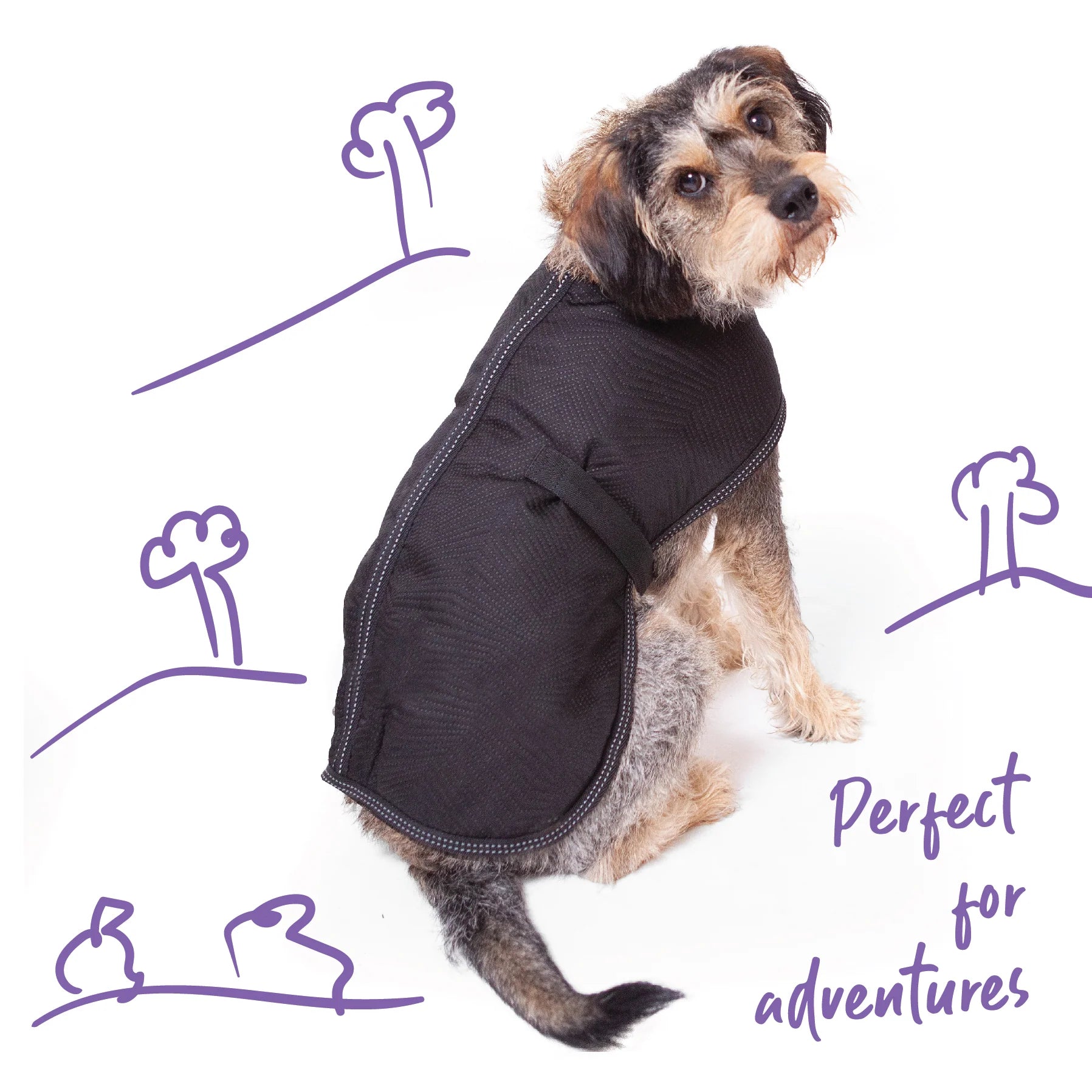 Adventure Dog Coat - Black