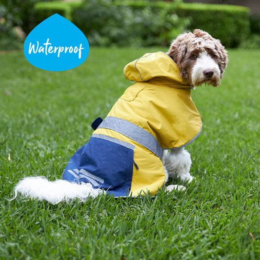 Cosy Dog Rain Coat - Mustard