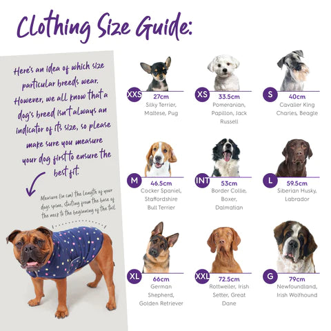 Hazy Grey Roll Neck Dog Jumper