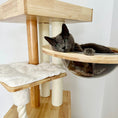 Load image into Gallery viewer, TGG-3000006 - gallery_4
