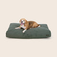 Load image into Gallery viewer, Snooza - Modern D1000 Outdoor Dog Bed
