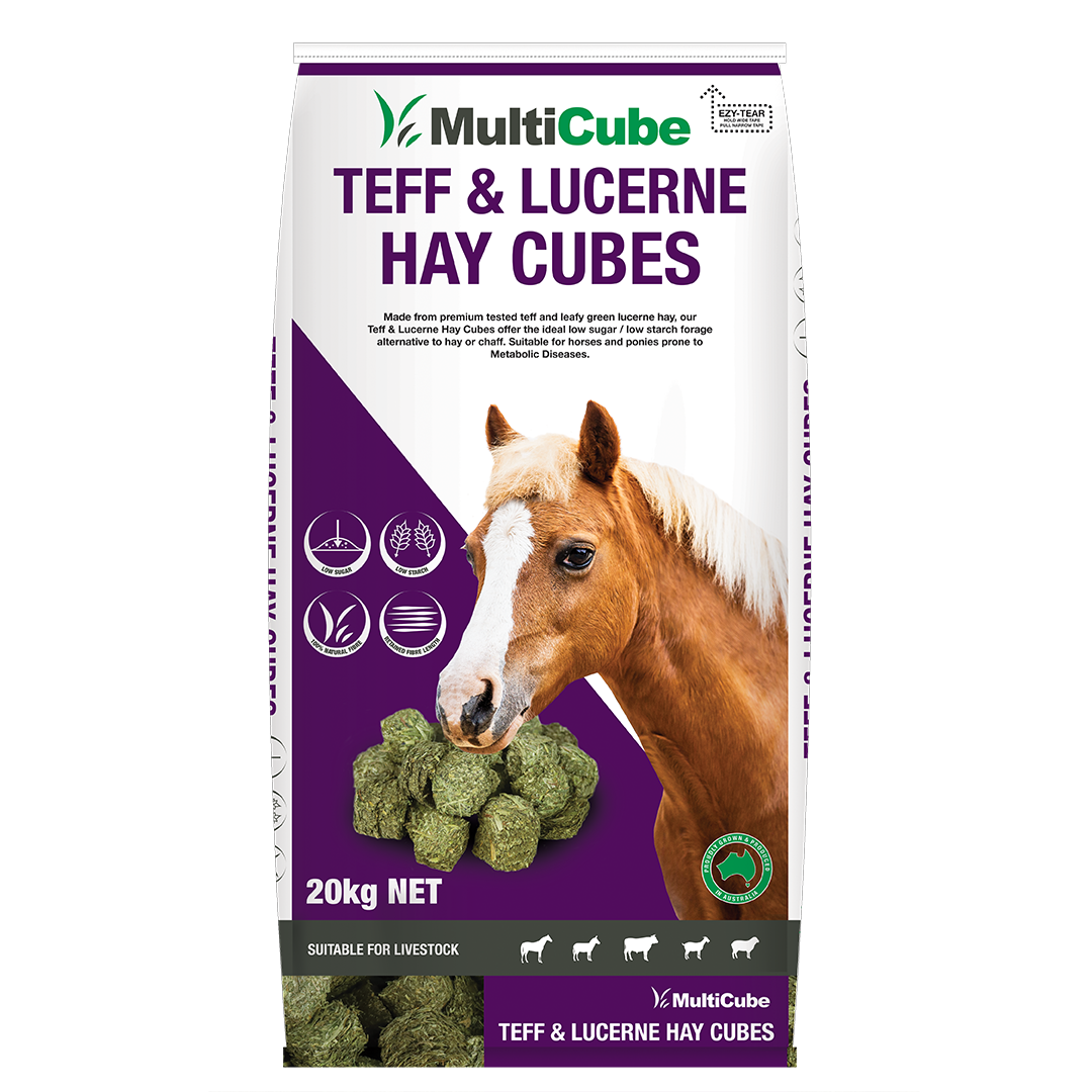 MultiCube - Teff & Lucerne Hay Cubes