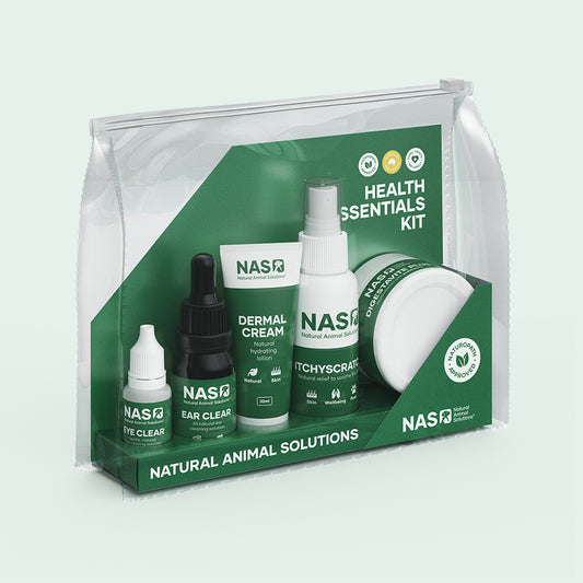 NAS Essentials Kit