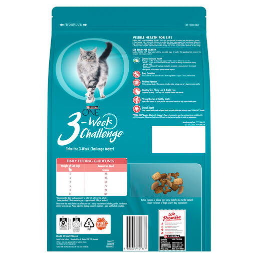 PURINA ONE Adult Salmon & Tuna Dry Cat Food