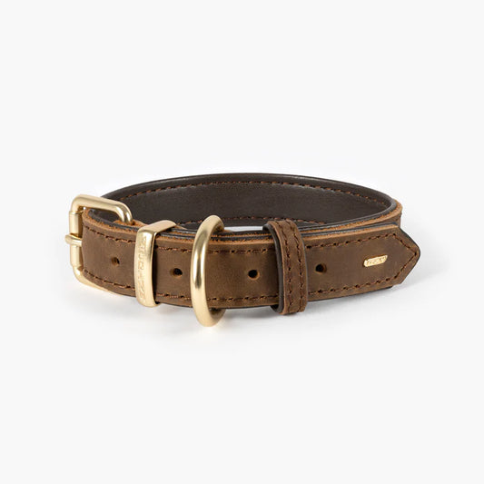 Oxford Leather Classic Collar
