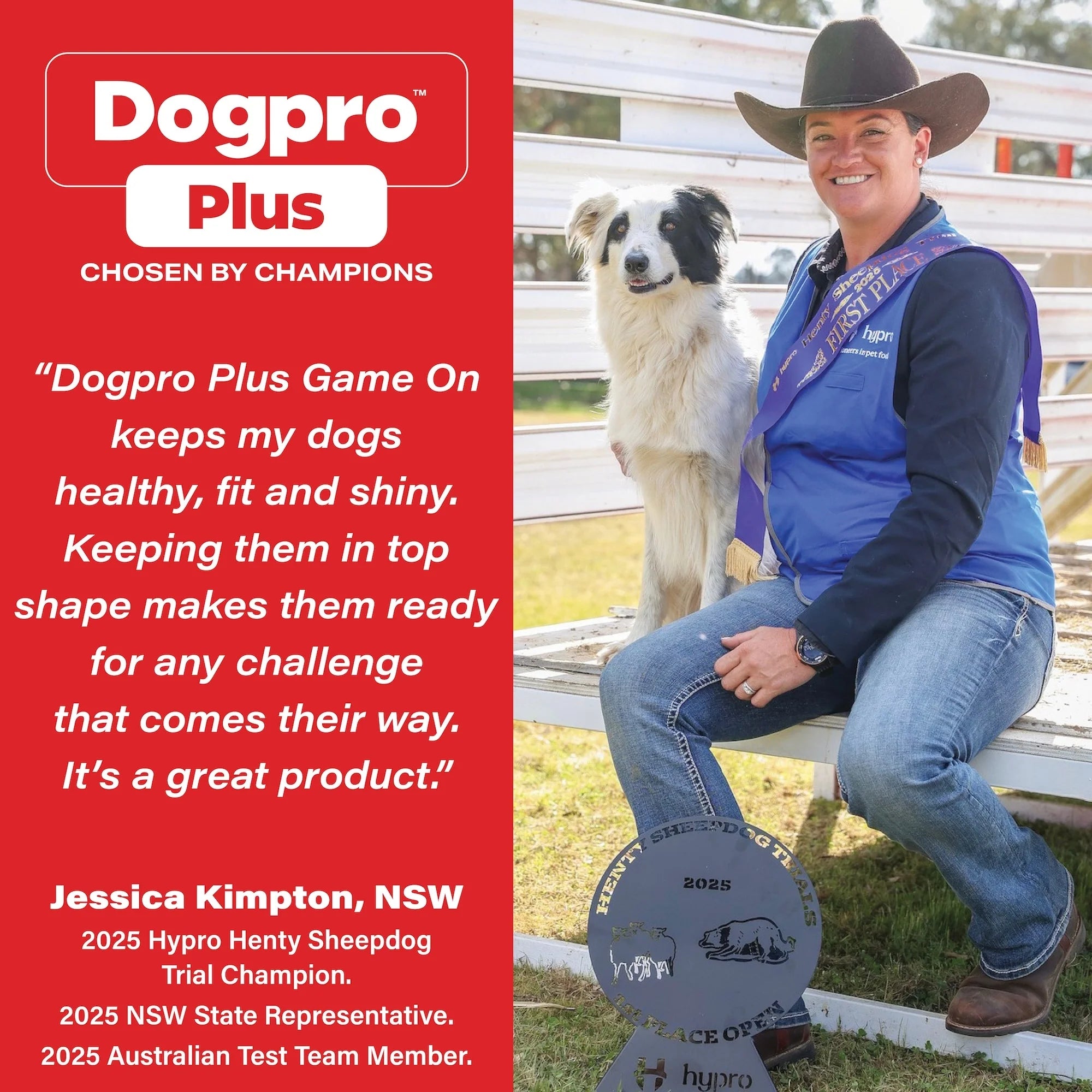Dogpro Plus Game On