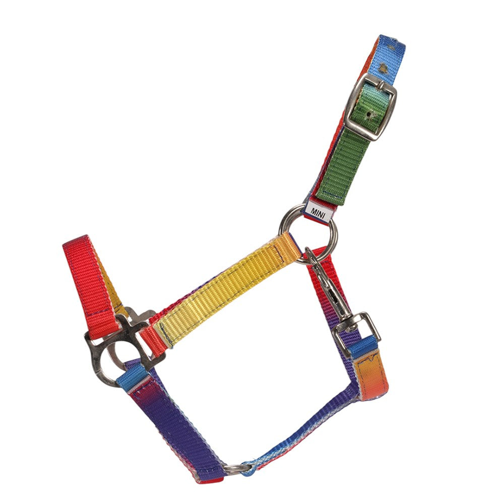 Piccolo Rainbow Halter