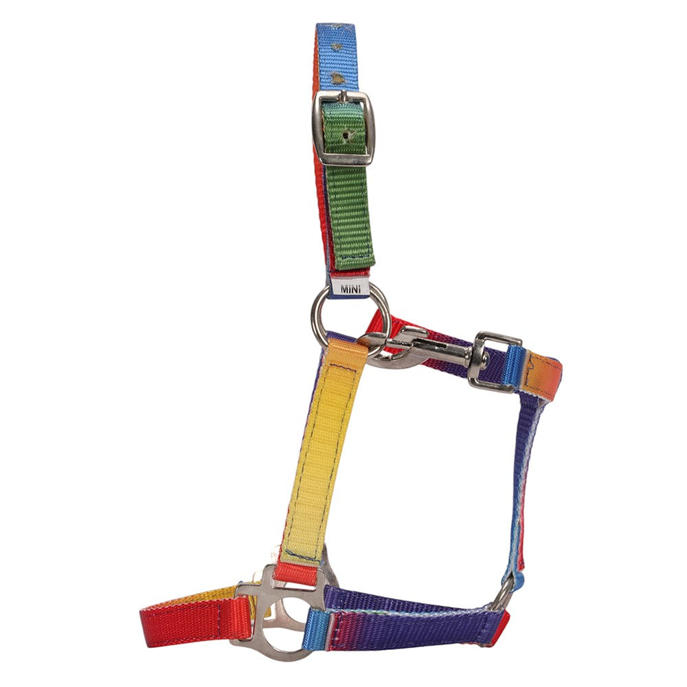 Piccolo Rainbow Halter