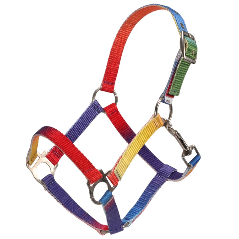 Piccolo Rainbow Halter