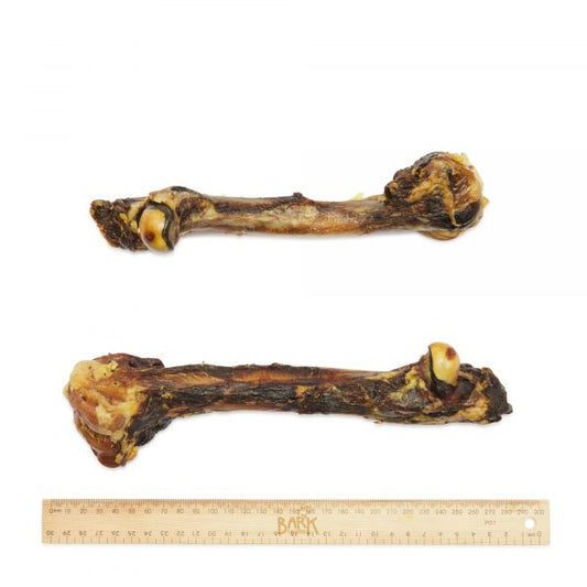 Bark and Beyond Roo Leg Bone