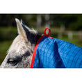 Load image into Gallery viewer, Horsemaster Ripstop Canvas Combo w/Blanket Lining- Blue/Red
