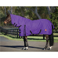 Load image into Gallery viewer, 600D Lite Rain sheet Combo Purple
