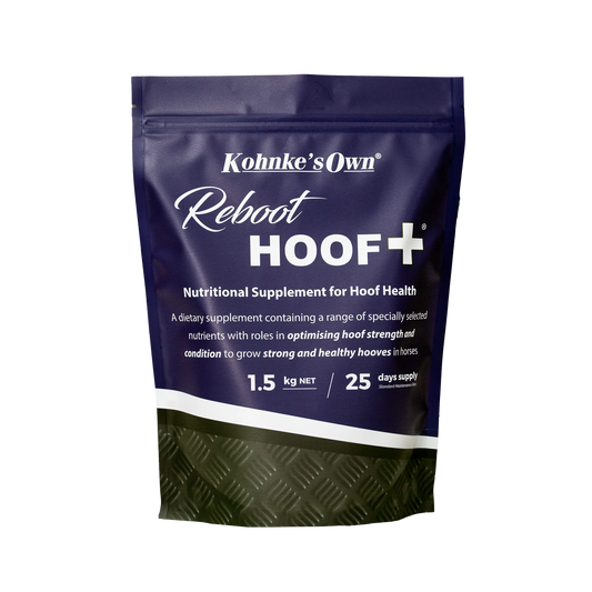 Reboot HOOF Plus