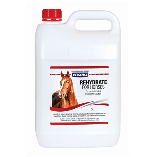 Vetsense Rehydrate for Horses