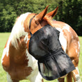 Load image into Gallery viewer, Horsemaster Fly Mask w/Skirt Nose
