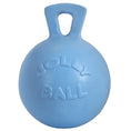 Load image into Gallery viewer, Jolly Ball - 8 Inch
